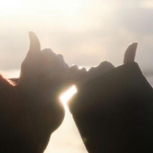 until we meet again?